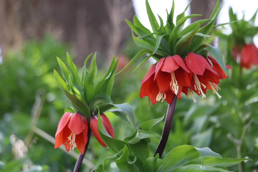 Bu insanlar neye bakıyor? Gece-gündüz nöbet tutuyorlar, ilk kez görenler şaştı kaldı! 6
